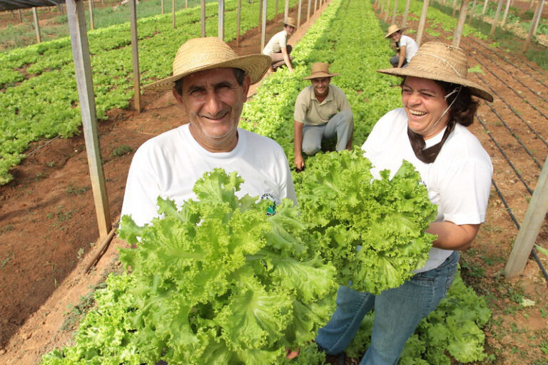 Promulgada lei que libera R$ 1,2 bilhão para agricultores atingidos pela seca