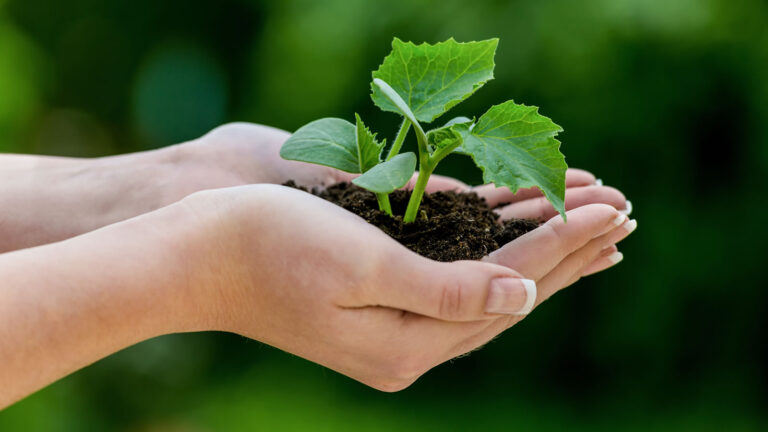 Sistema analisa e monitora efetividade de gestão em Unidades de Conservação