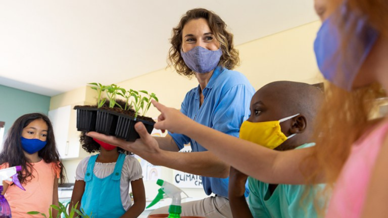 MMA divulga o resultado das instituições selecionadas para o Projeto Salas +Verdes