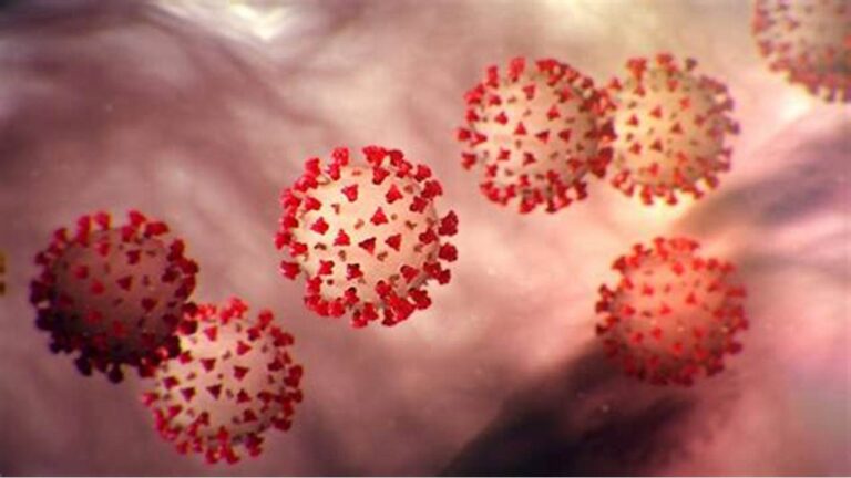 Covid-19 continua como emergência de saúde pública, informou a OMS