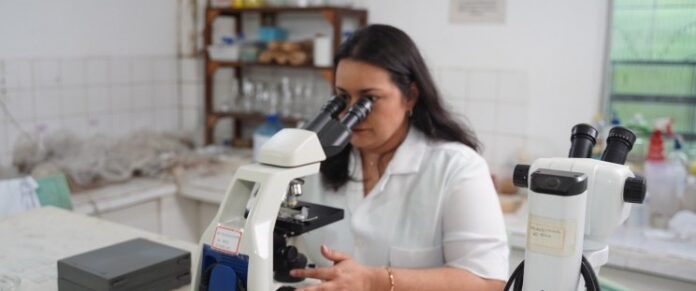 42638_investiemntos_do_governo_fortalecem_a_pesquisa_no_maranhao_9117104253937218033