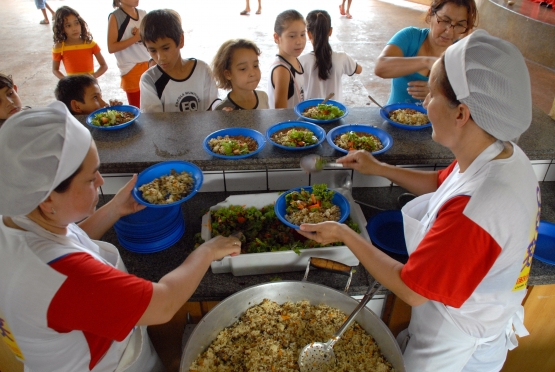 Sistema de Gestão do Pnae tem novo módulo para cadastro de Conselheiros da Alimentação Escolar