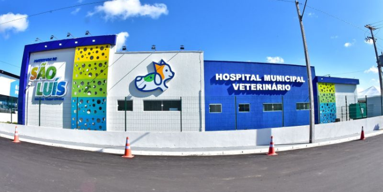 TCE suspende processo licitatório da Semus para implantação do Hospital Veterinário de São Luís