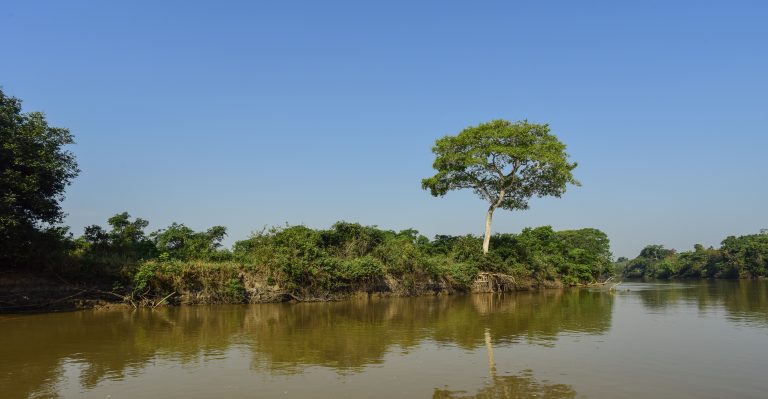 Dia do Pantanal: Municípios têm missão de preservar bioma fundamental ao equilíbrio hídrico